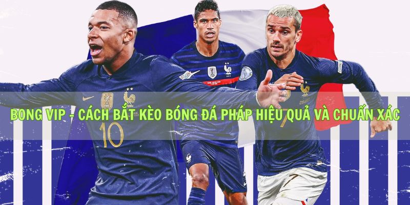 Bong vip - Cách Bắt Kèo Bóng Đá Pháp Hiệu Quả Và Chuẩn Xác
